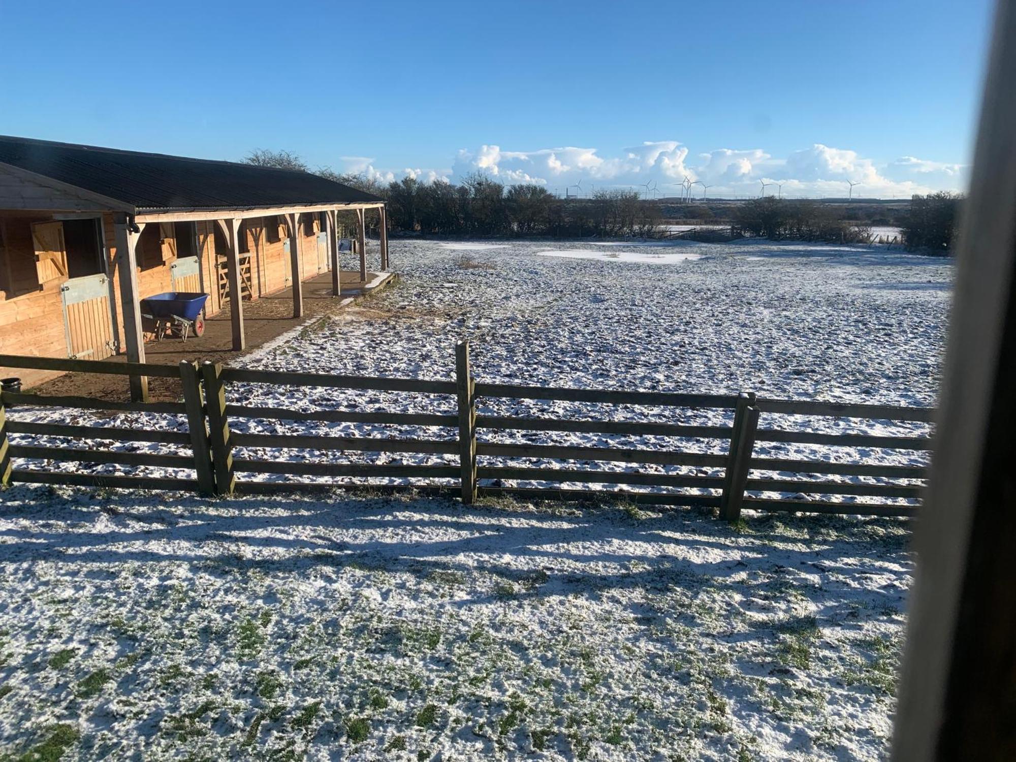Owls Nest Log Cabin Morpeth Exterior photo